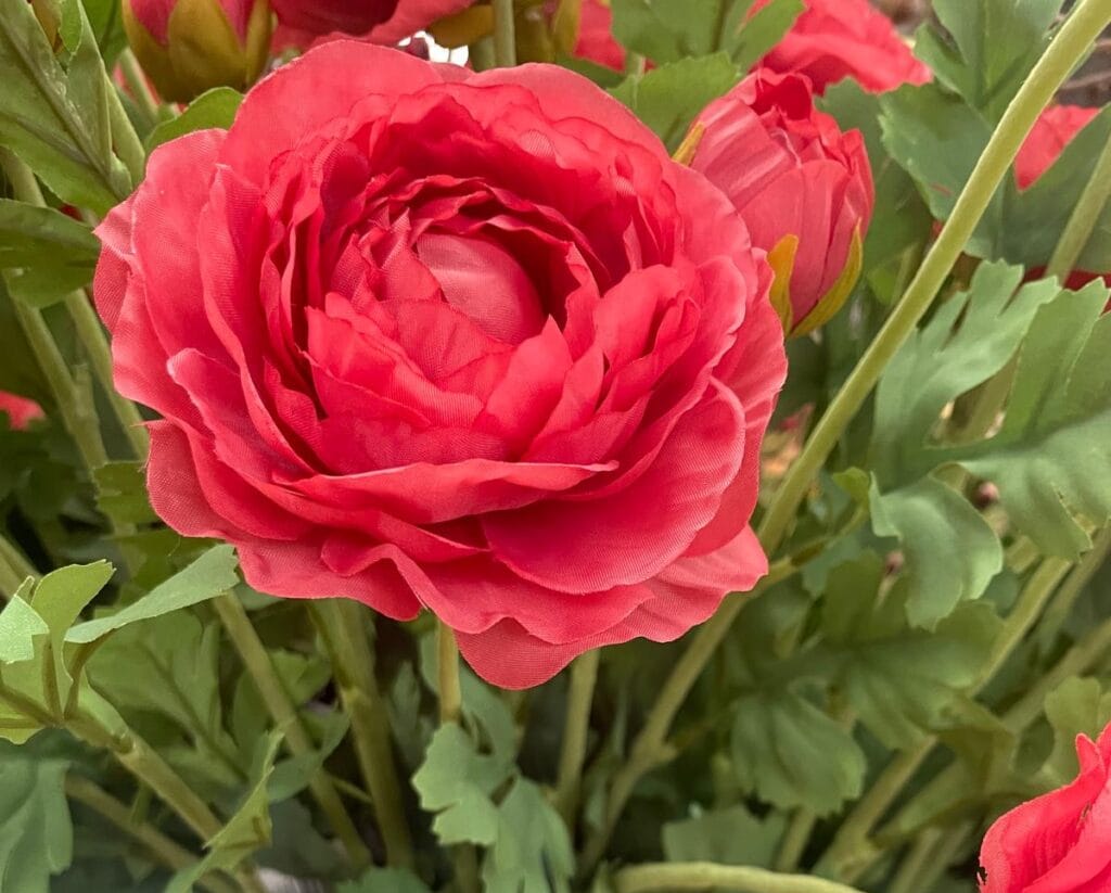 Afbeelding zonder ALT