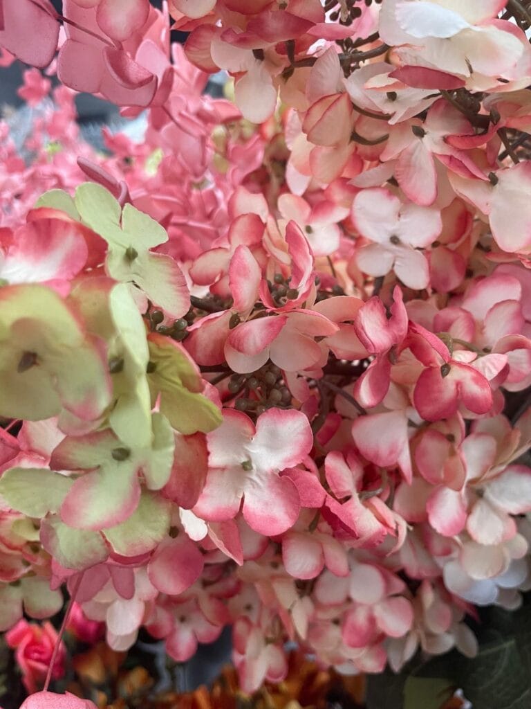 Afbeelding zonder ALT